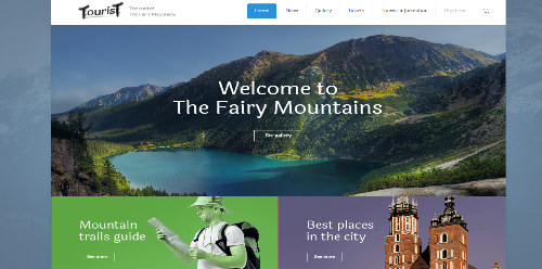 Your blog website